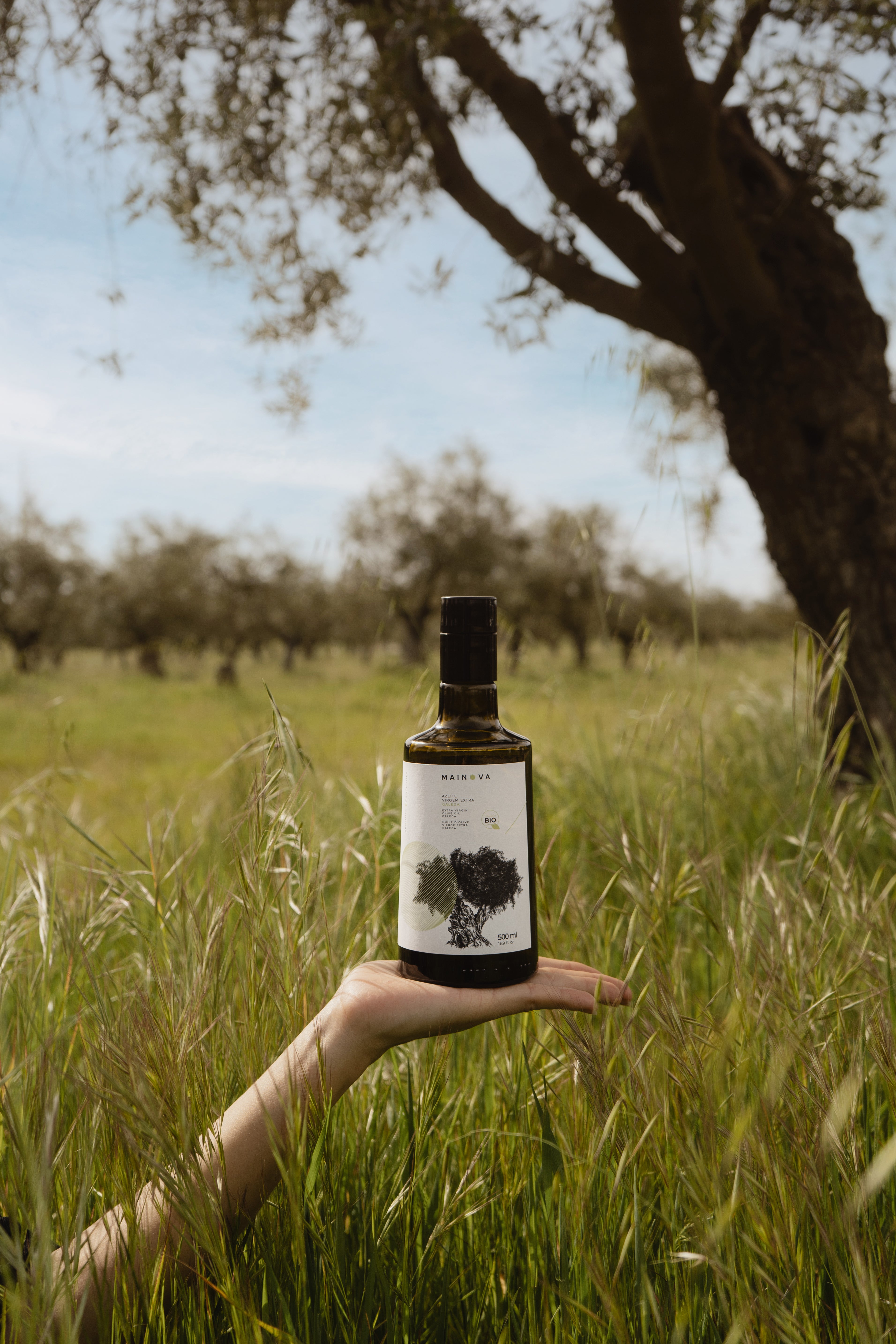 Galega Mainova Classic Olive Oil