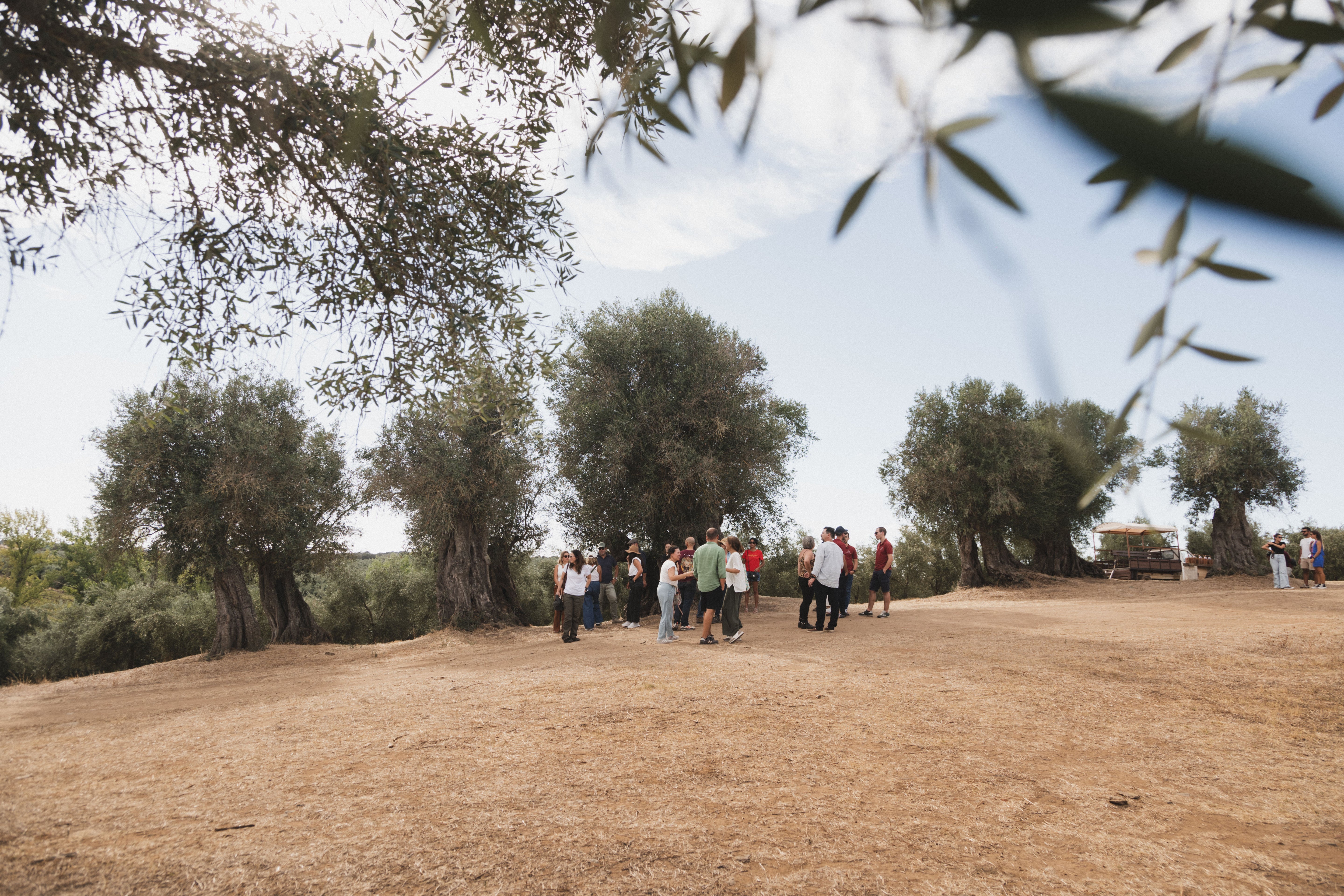 Moinante Experience | 5 Setembro