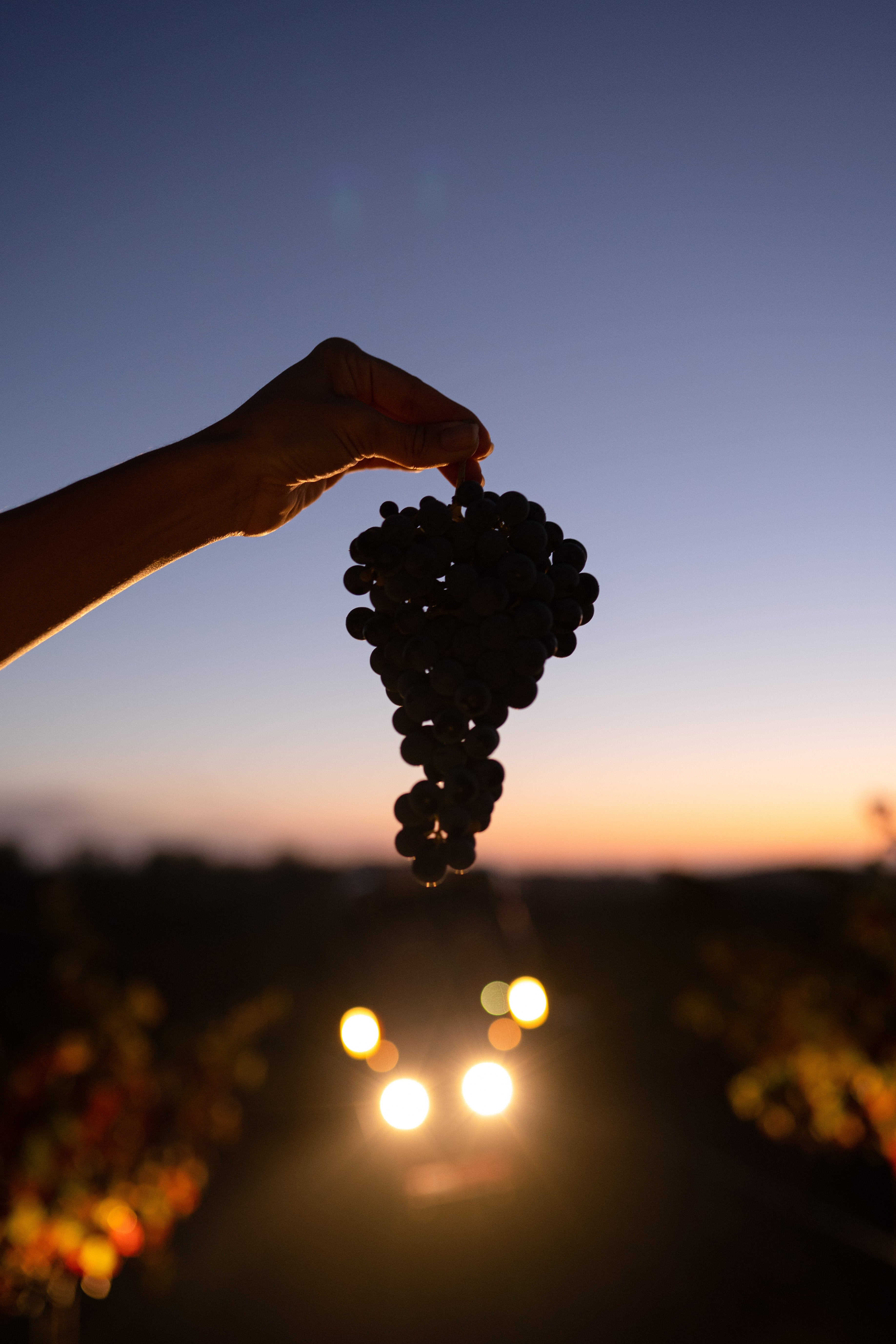 Milmat Rouge Réserve 2021