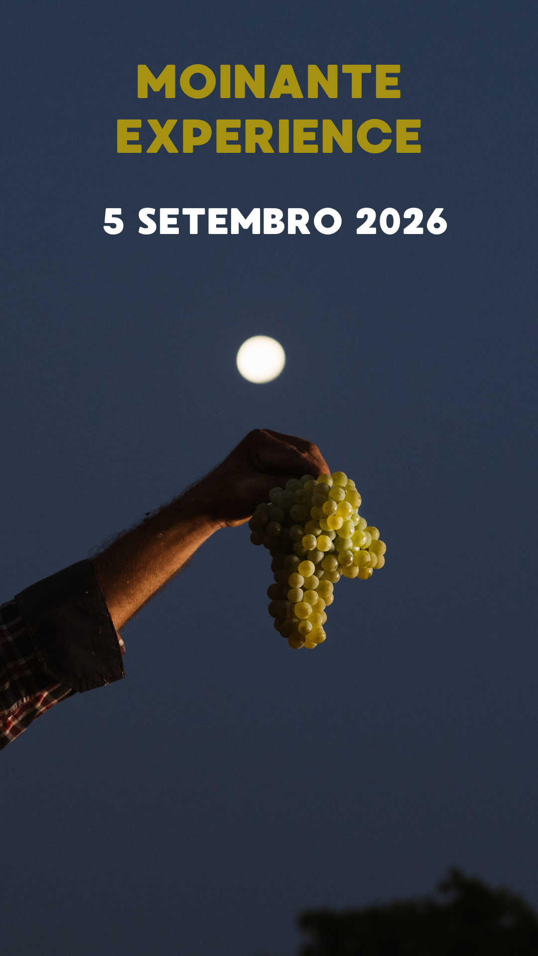 Moinante Experience | 5 Setembro
