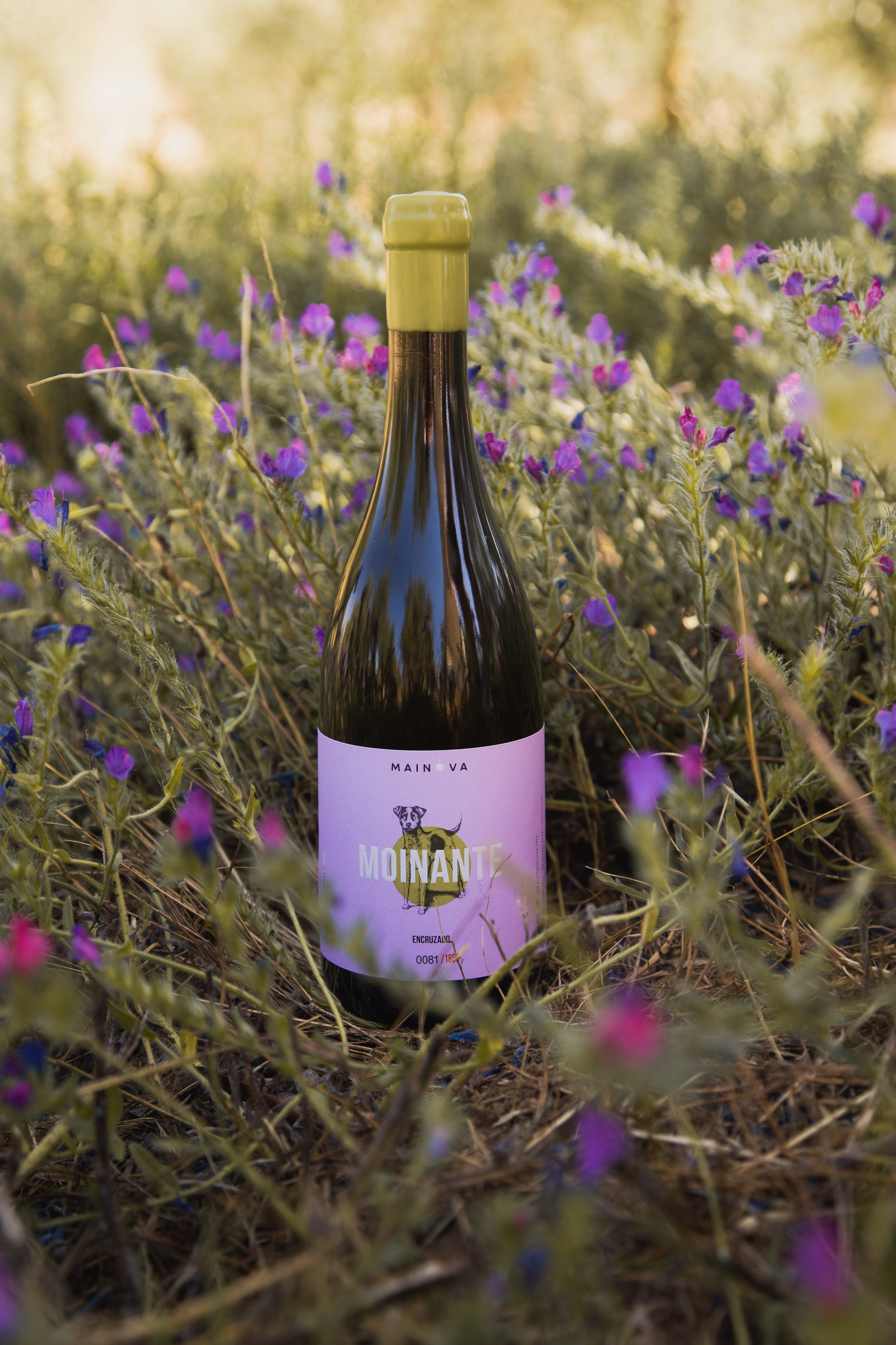 Moinante Encruzado 2020 1.5L