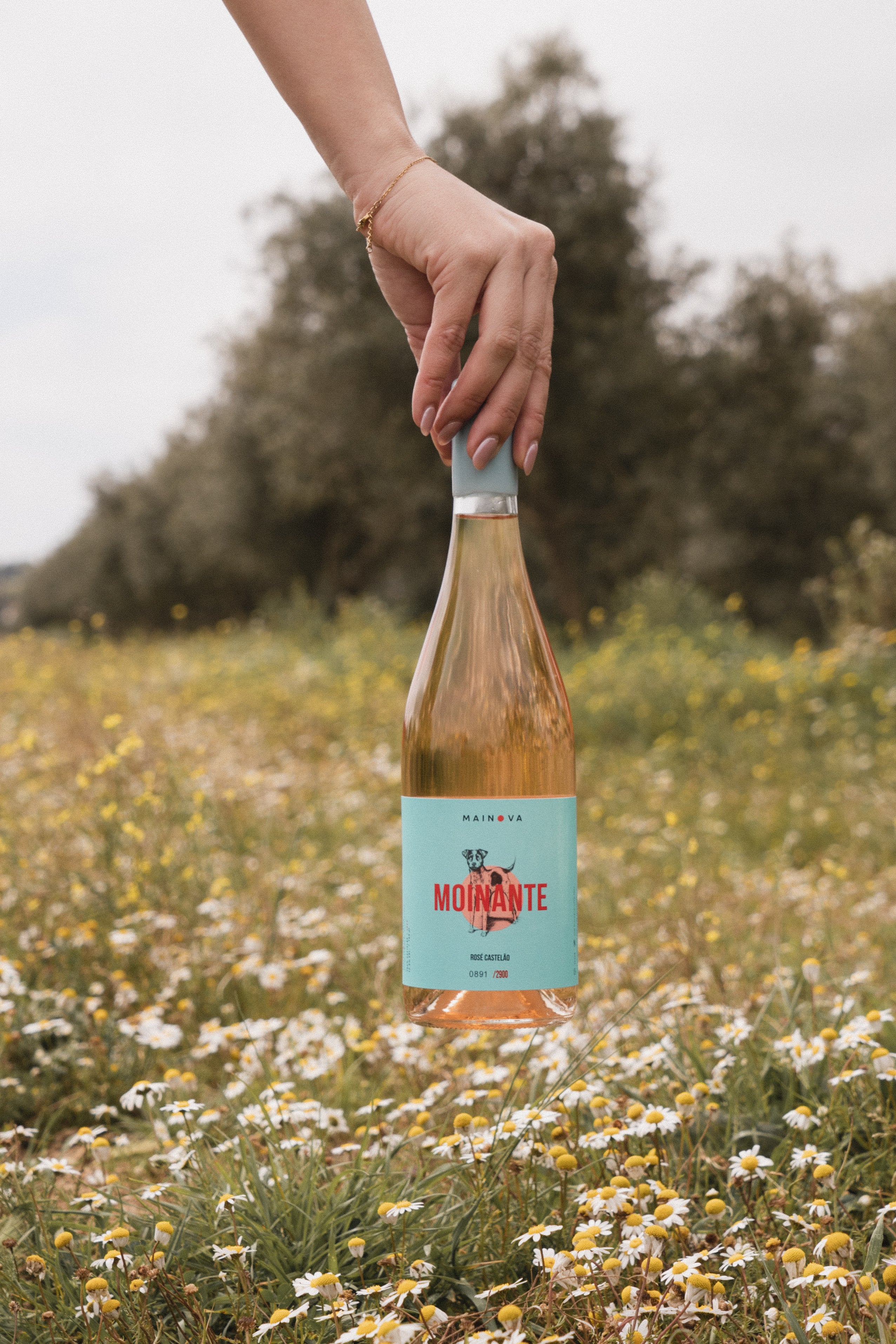 Moinante Rosé Castelão 2024 1.5L