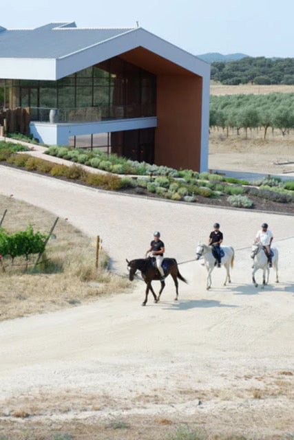 Passeio a Cavalo e Prova de Vinhos