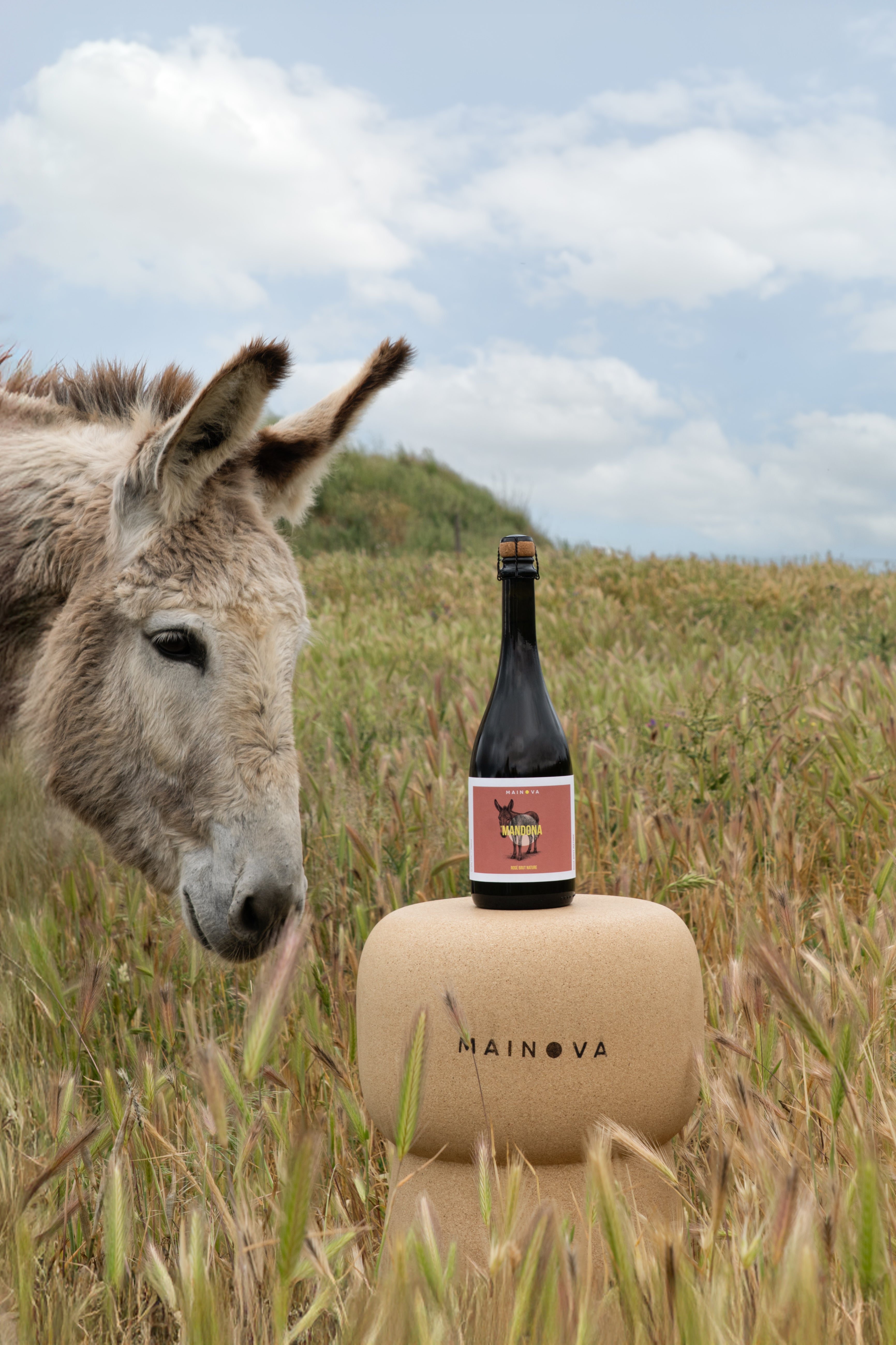 Mandona Rosé