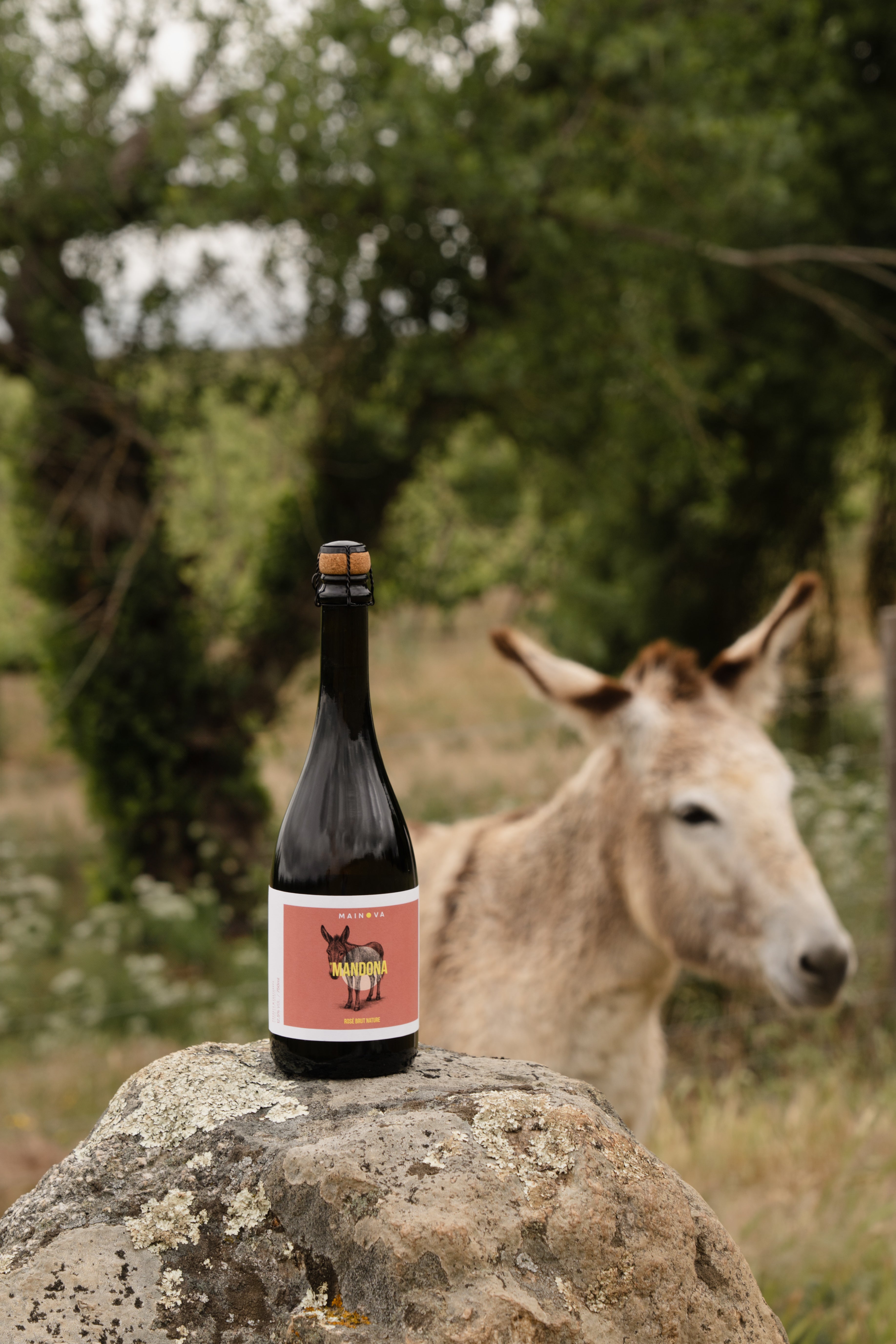 Mandona Rosé