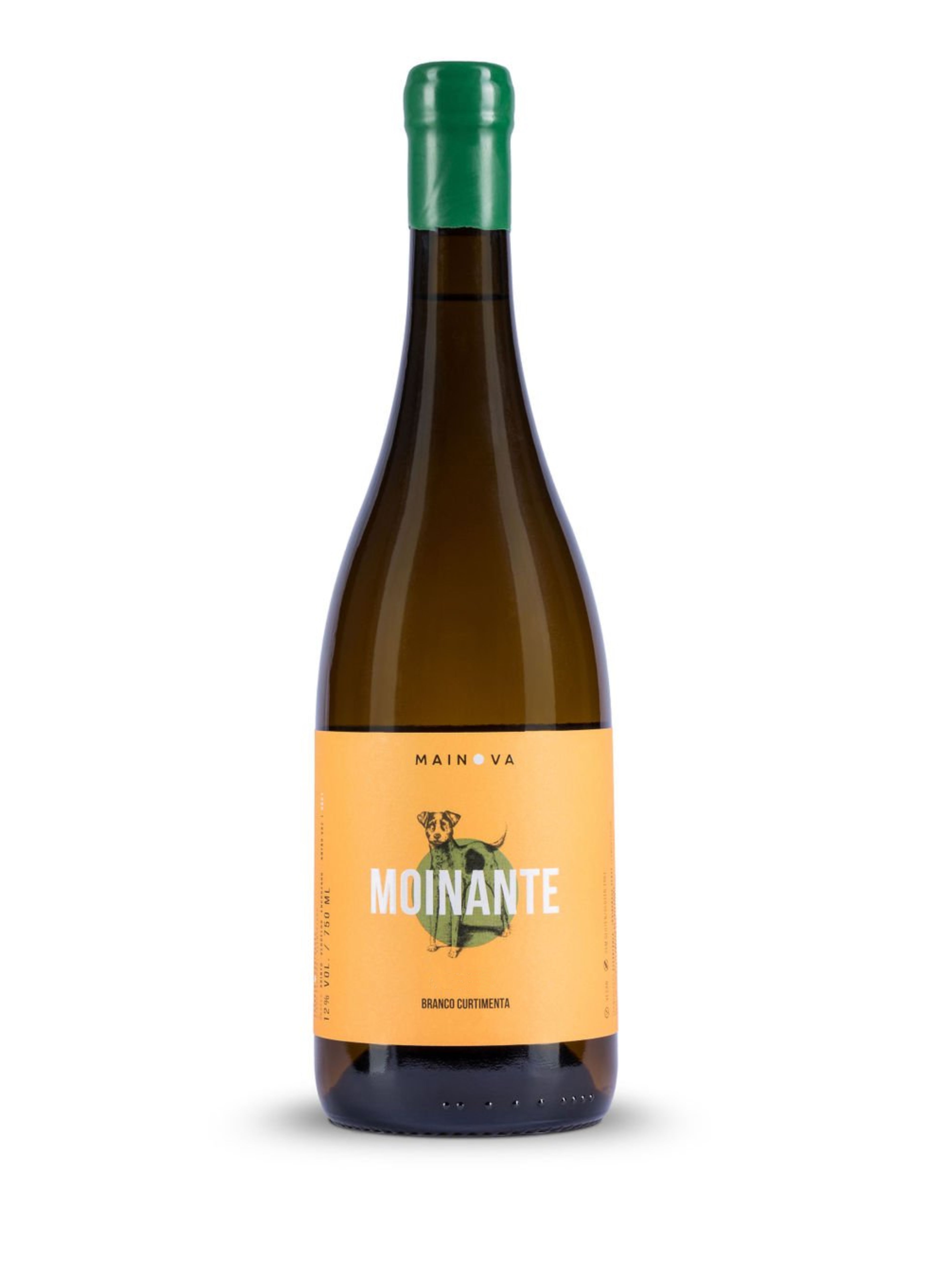 Moinante Curtimenta 2024