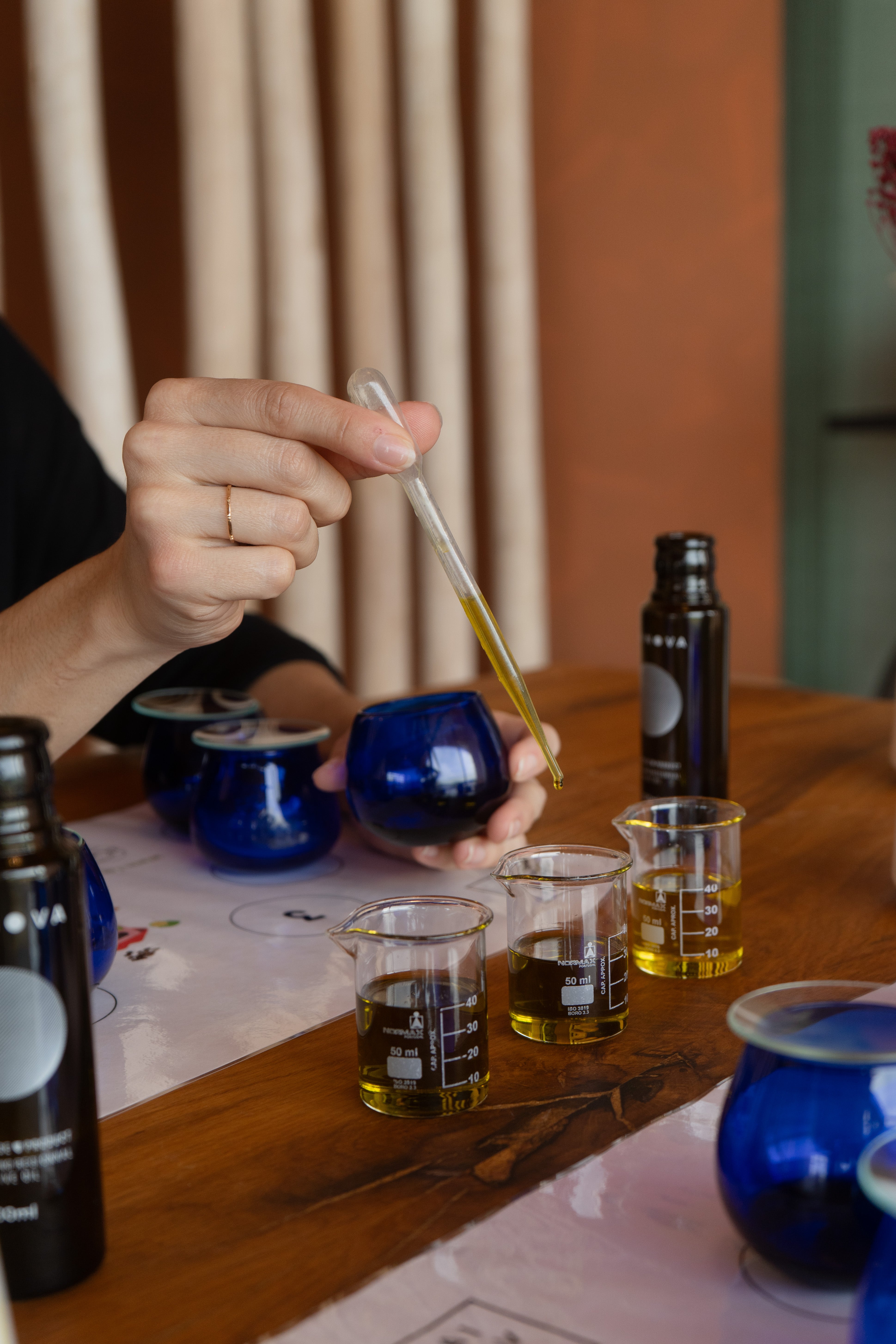 Oleólogo por um dia