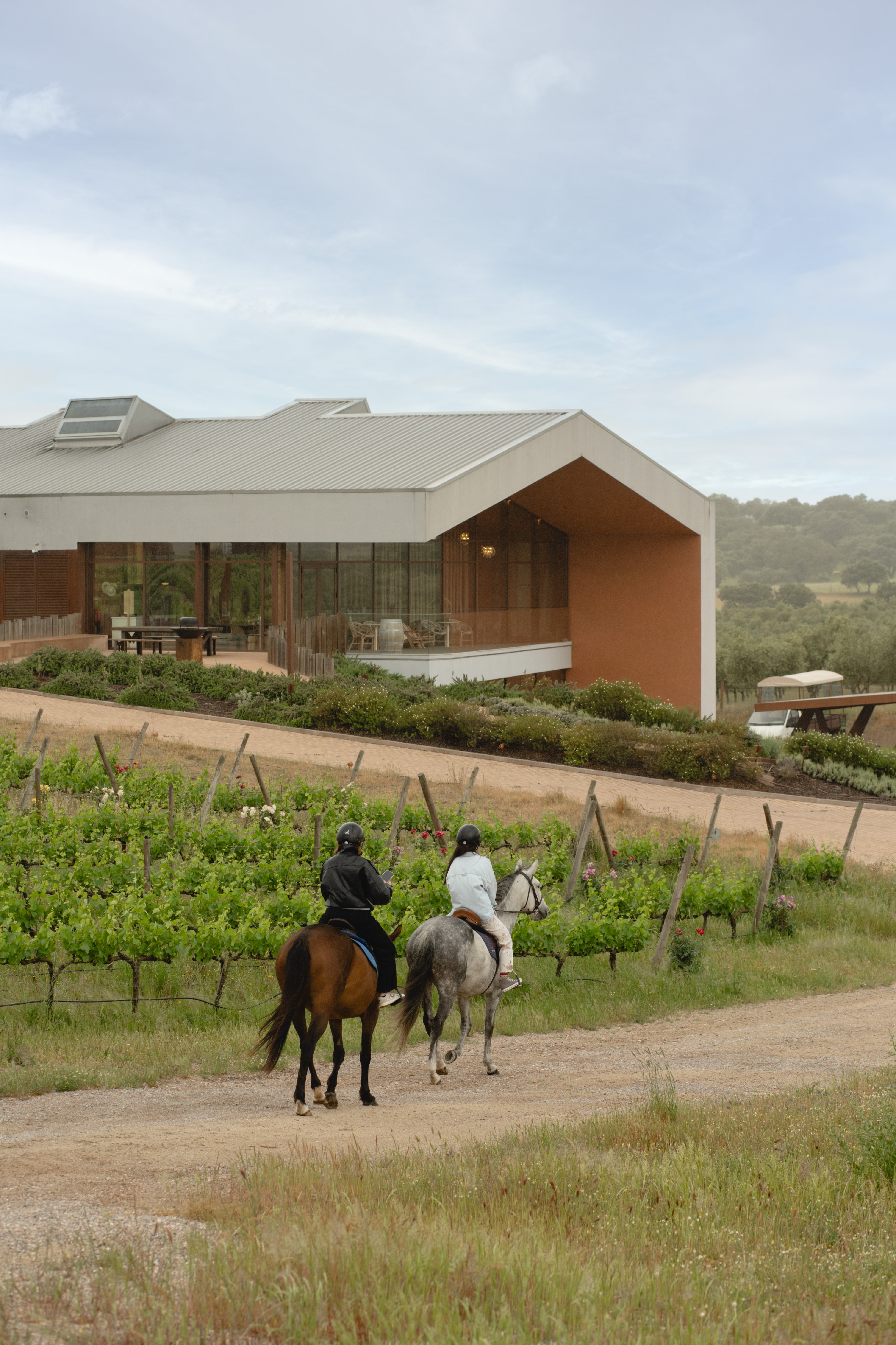 Horseback Riding and Wine Tasting