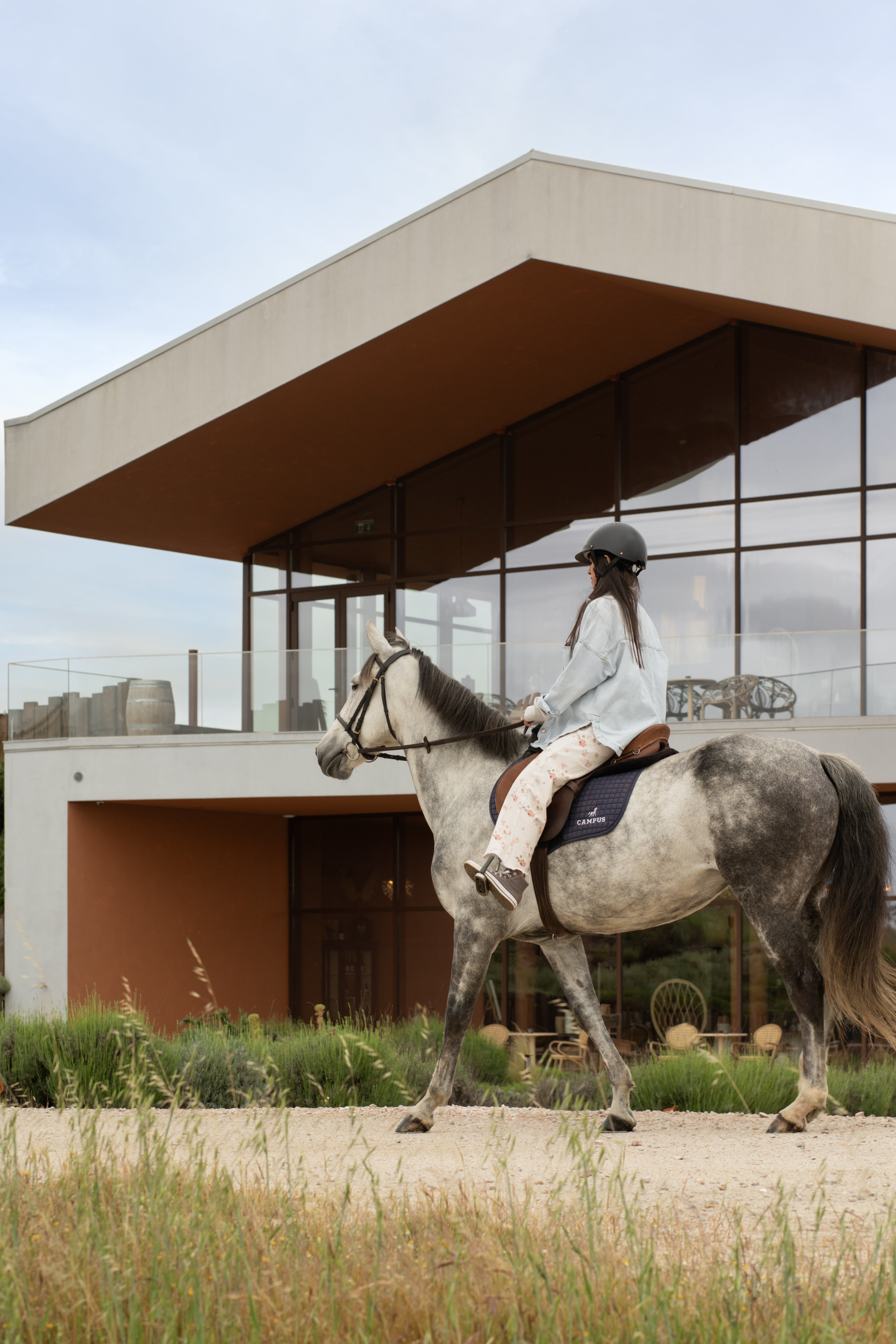 Horseback Riding and Wine Tasting