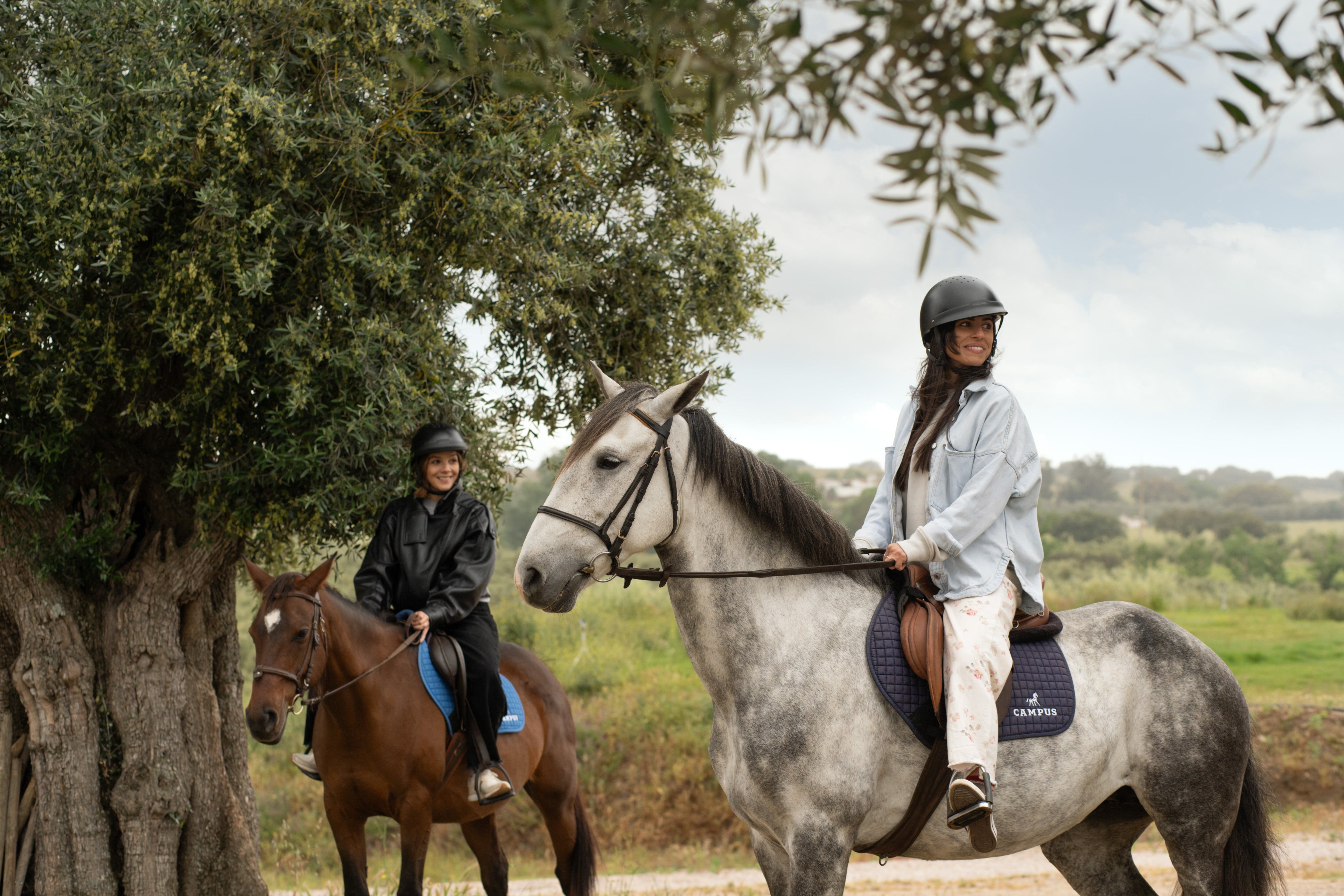 Horseback Riding and Wine Tasting