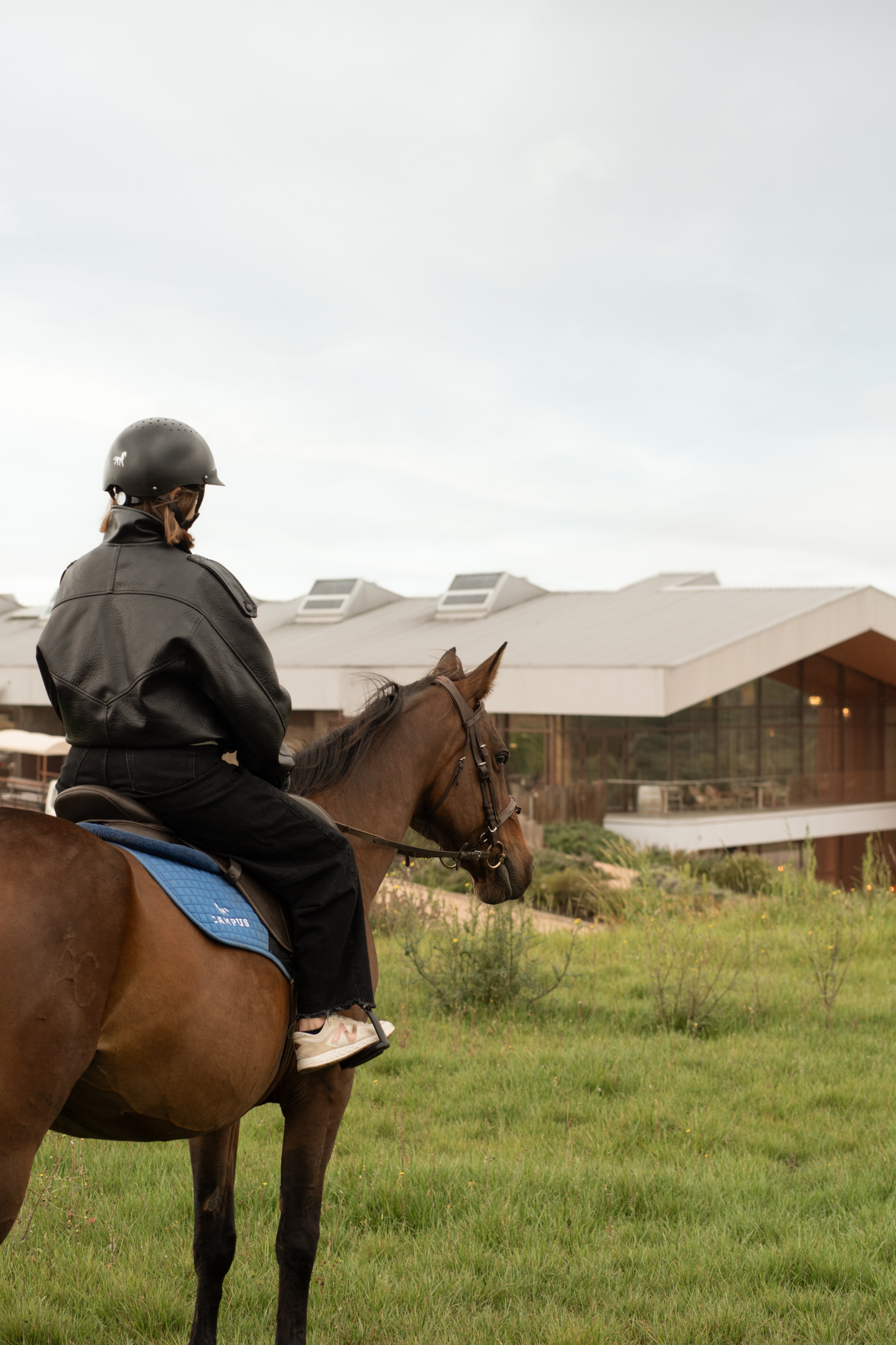 Horseback Riding and Wine Tasting