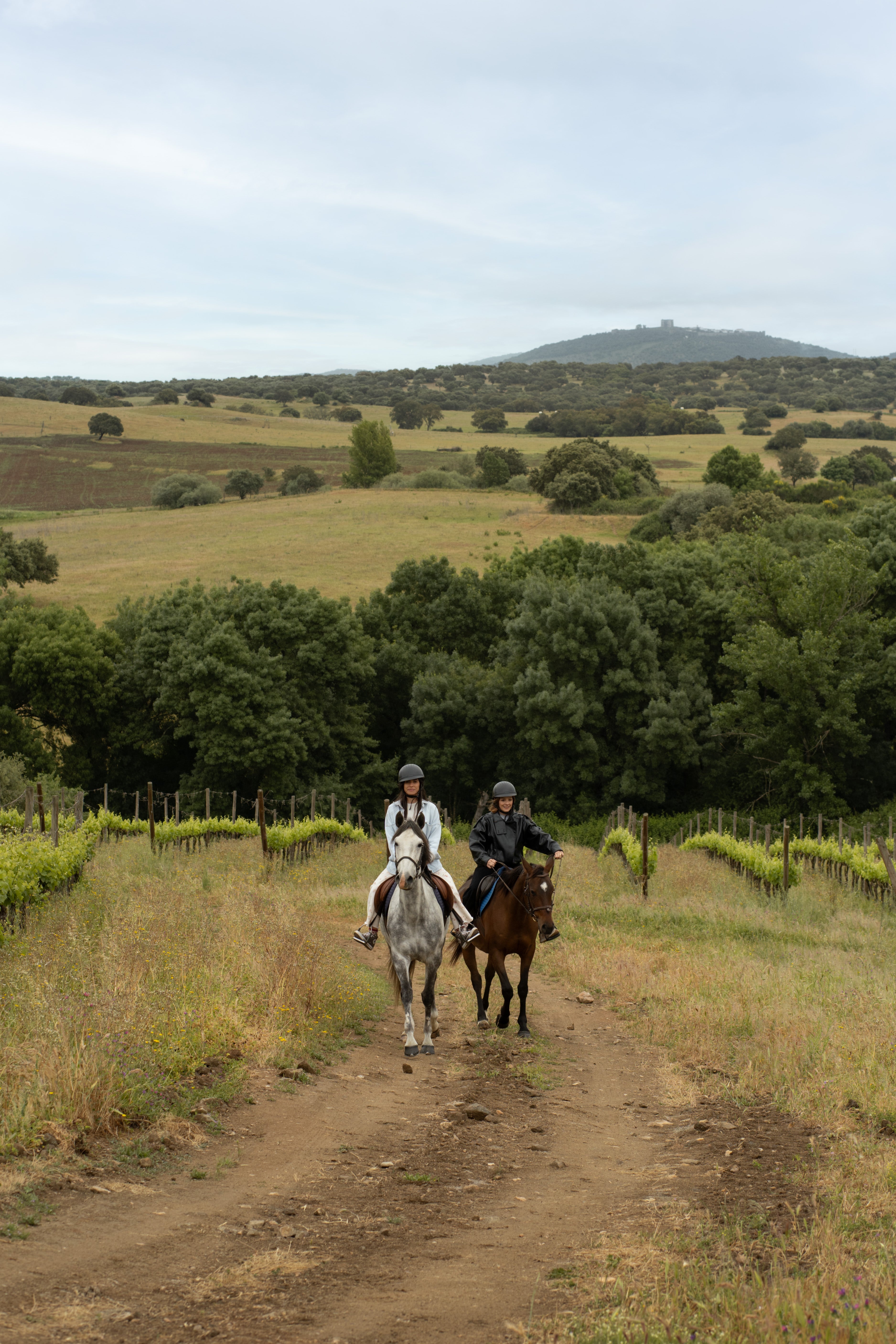 Horseback Riding and Wine Tasting